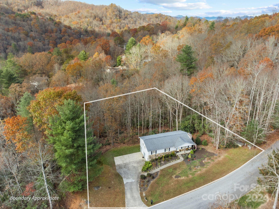 6 Laurel Forest Dr Horse Shoe, NC 28742