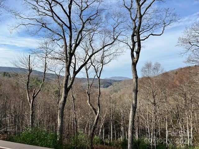 497 Black Locust Cir Blowing Rock, NC 28605