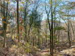 375 Poplar Dr Hendersonville, NC 28792