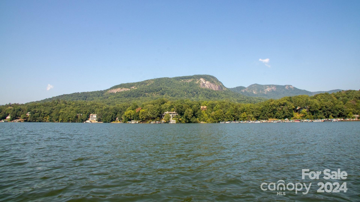 501 Bolt Rd Lake Lure, NC 28746