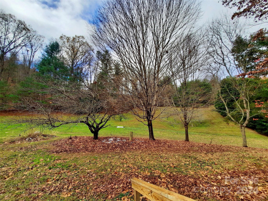 476 Cove Creek Ln Weaverville, NC 28787