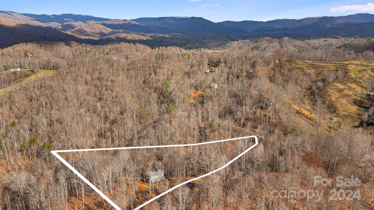 510 Crest Line Dr Green Mountain, NC 28740