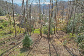 155 Rio Bravo Dr Sylva, NC 28779