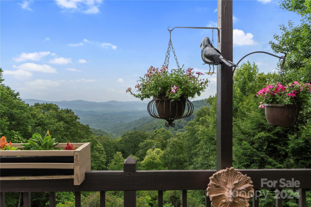 32 Hickory Forest Rd Fairview, NC 28730