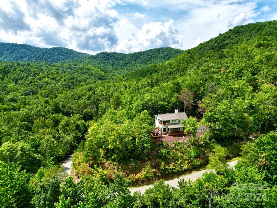 81 Mountain Falls Trl Black Mountain, NC 28711