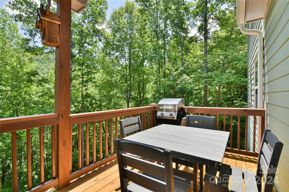 140 Atlantic Falls Trl Black Mountain, NC 28711