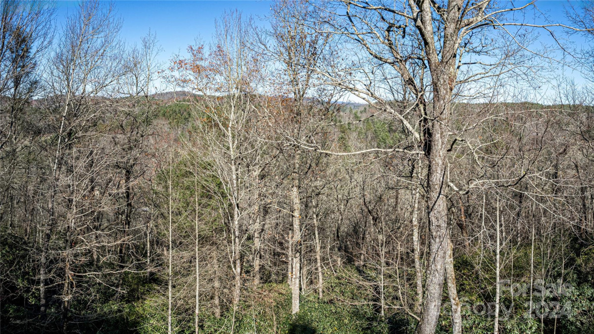 183 Wildwood Way Lake Toxaway, NC 28747