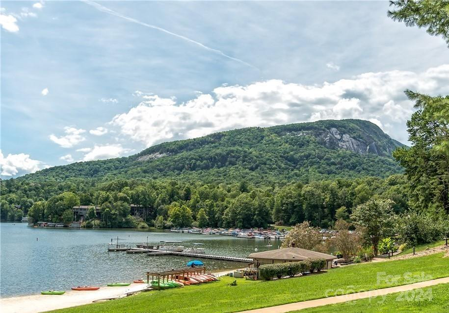 160 Whitney Blvd Lake Lure, NC 28746