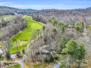 241 Middle Connestee Trl Brevard, NC 28712