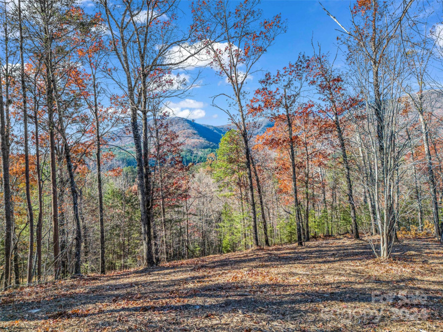 Lot 30 Deep Gap Farm Rd Mill Spring, NC 28756