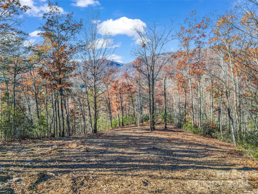 Lot 30 Deep Gap Farm Rd Mill Spring, NC 28756