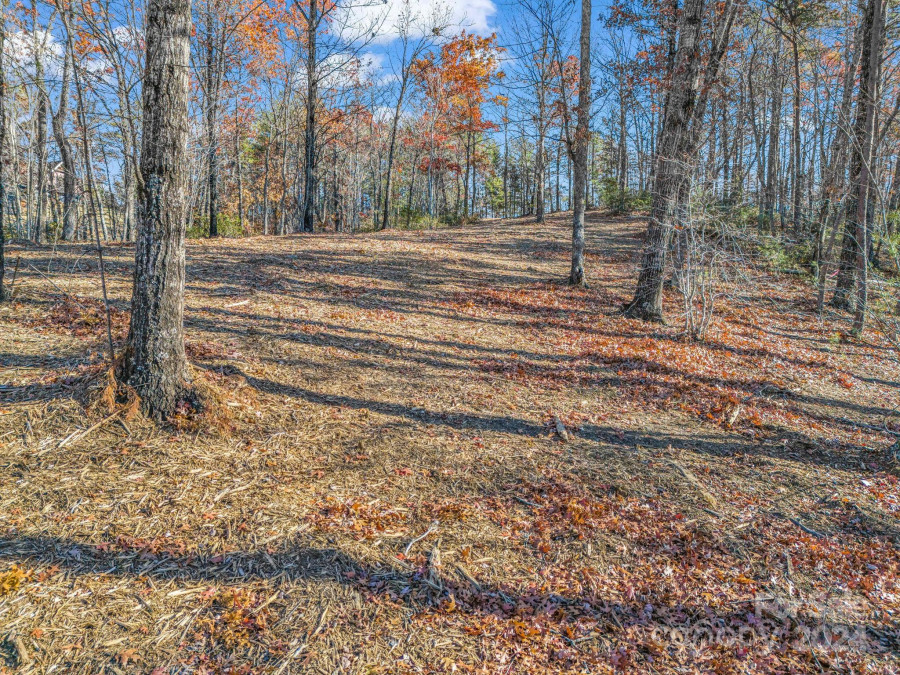 Lot 30 Deep Gap Farm Rd Mill Spring, NC 28756