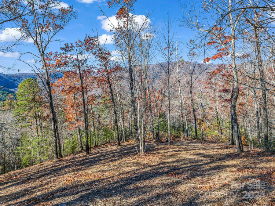 Lot 30 Deep Gap Farm Rd Mill Spring, NC 28756