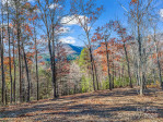 Lot 30 Deep Gap Farm Rd Mill Spring, NC 28756