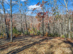 Lot 30 Deep Gap Farm Rd Mill Spring, NC 28756