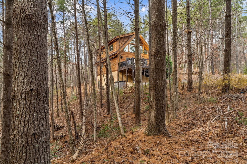 1036 Deep Forest Ln Nebo, NC 28761