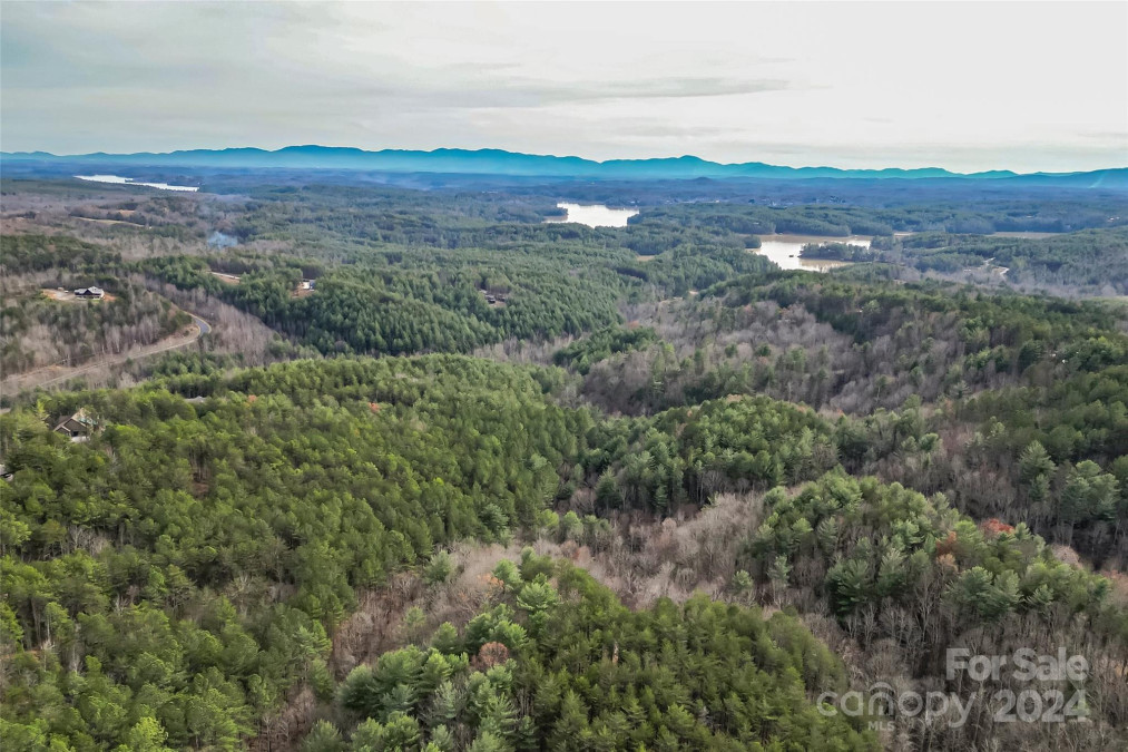 1036 Deep Forest Ln Nebo, NC 28761