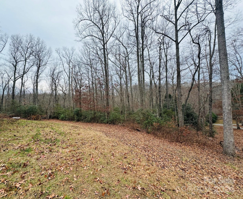 23 Clarks Crossing Way Black Mountain, NC 28711