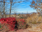 99999 Bay Laurel Ln Hendersonville, NC 28791