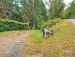 1351 Caldwell Mountain Rd Hot Springs, NC 28743