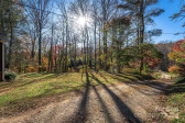 130 Brooks Cove Rd Candler, NC 28715