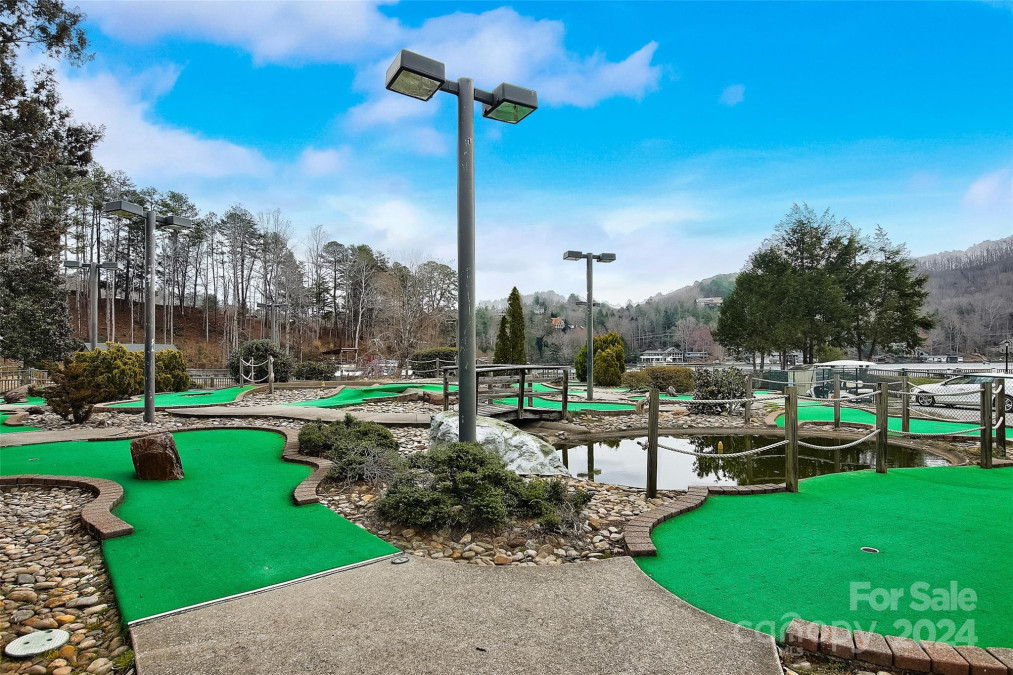 155 Quail Cove Blvd Lake Lure, NC 28746