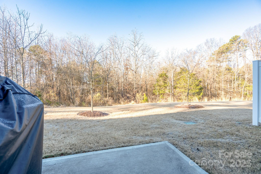 18106 Pear Hawthorne Dr Huntersville, NC 28078