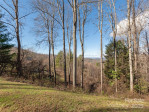 5 Stonecrest Dr Asheville, NC 28803