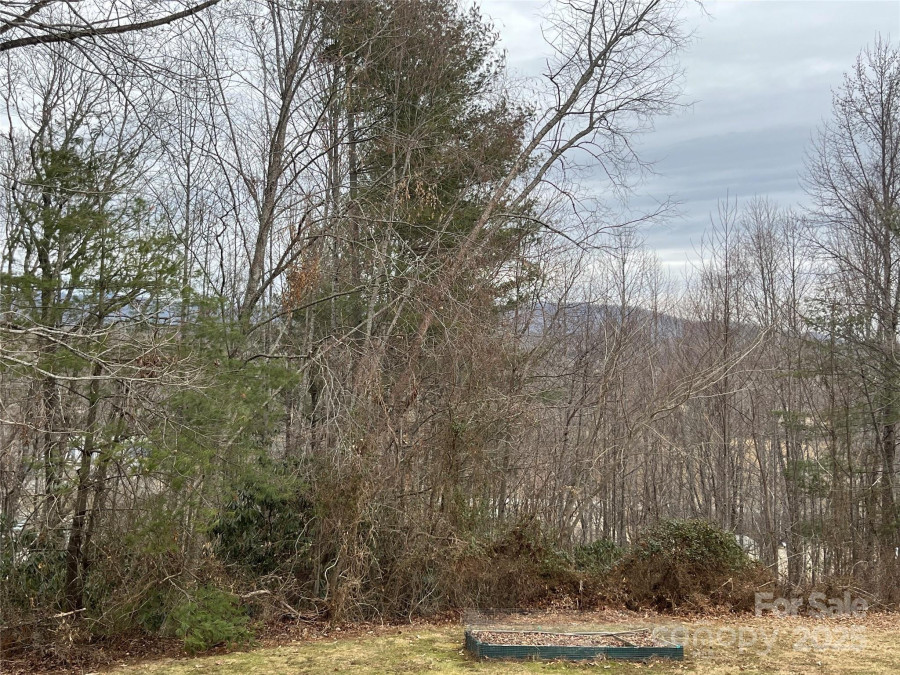 60 Vista View Ct Etowah, NC 28729