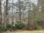 60 Vista View Ct Etowah, NC 28729