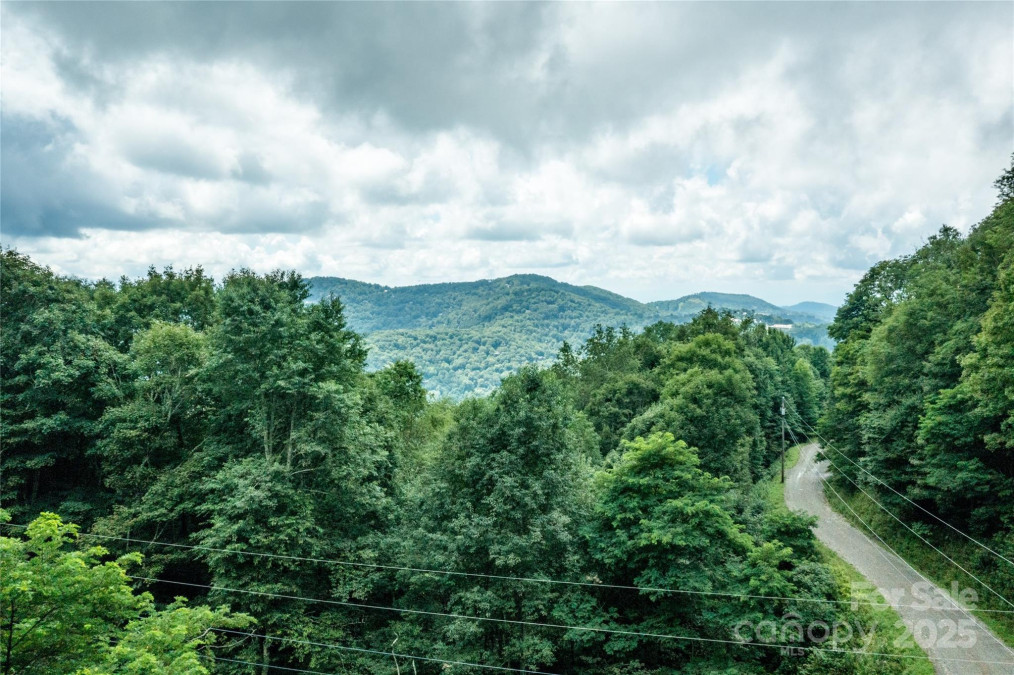 423 Grouse Thicket Rd Mars Hill, NC 28754