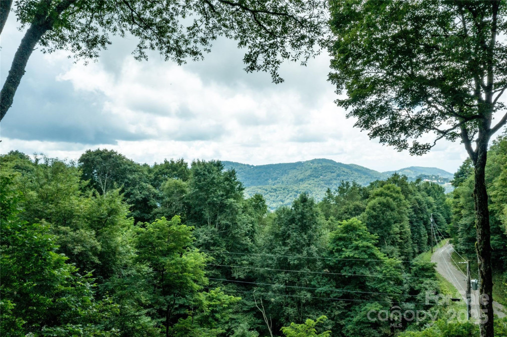 423 Grouse Thicket Rd Mars Hill, NC 28754