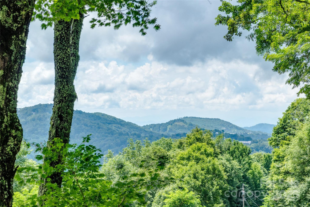 423 Grouse Thicket Rd Mars Hill, NC 28754