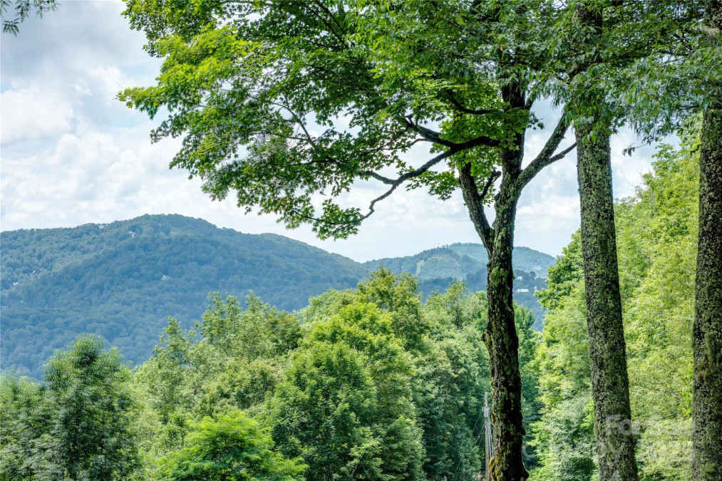 423 Grouse Thicket Rd Mars Hill, NC 28754