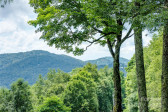 423 Grouse Thicket Rd Mars Hill, NC 28754