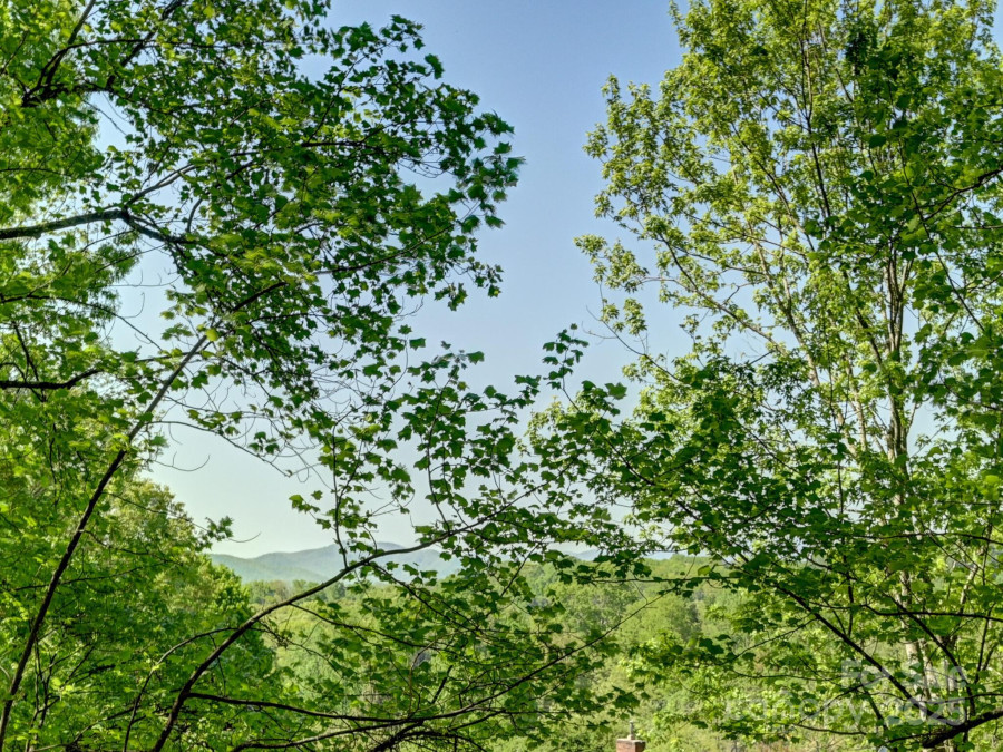 6 Westridge Ct Asheville, NC 28806