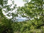 6 Westridge Ct Asheville, NC 28806