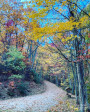 642 Mountainside Dr Waynesville, NC 28786