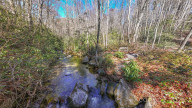 34 Red Cedar Ct Sapphire, NC 28774