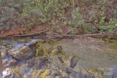 34 Red Cedar Ct Sapphire, NC 28774