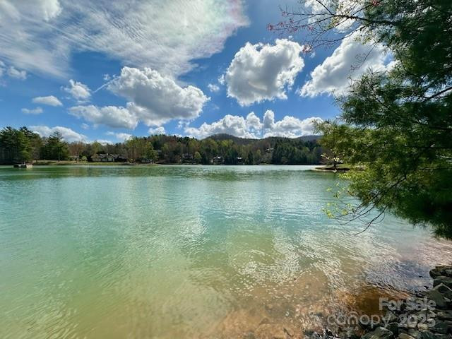 209 Walnut Ridge Rd Brevard, NC 28712