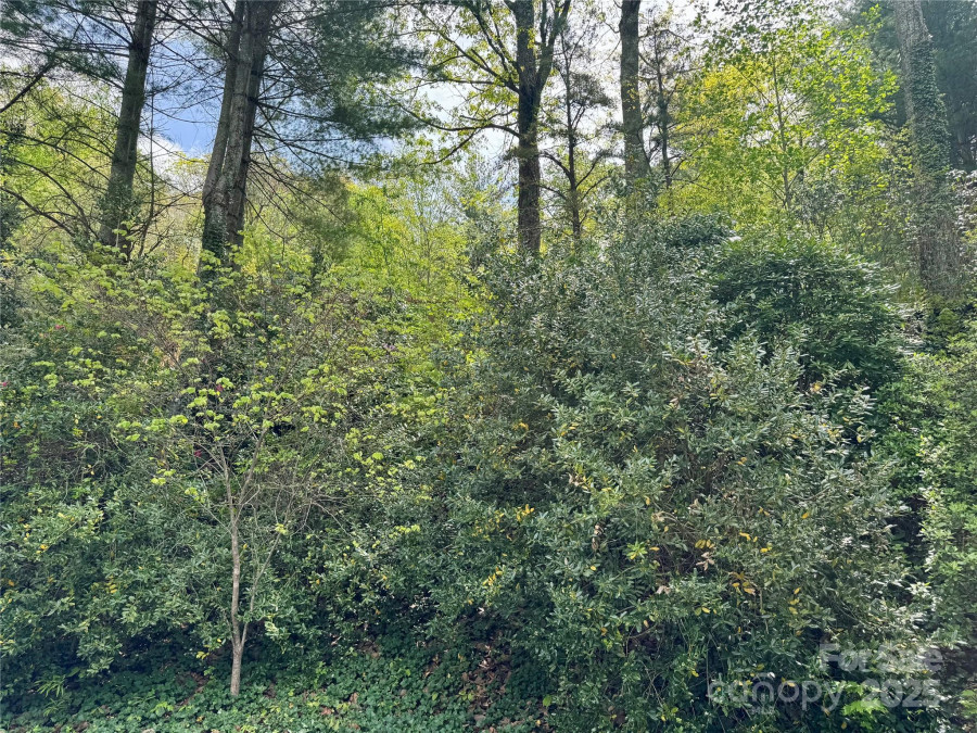 15 Elmwood Ln Asheville, NC 28803