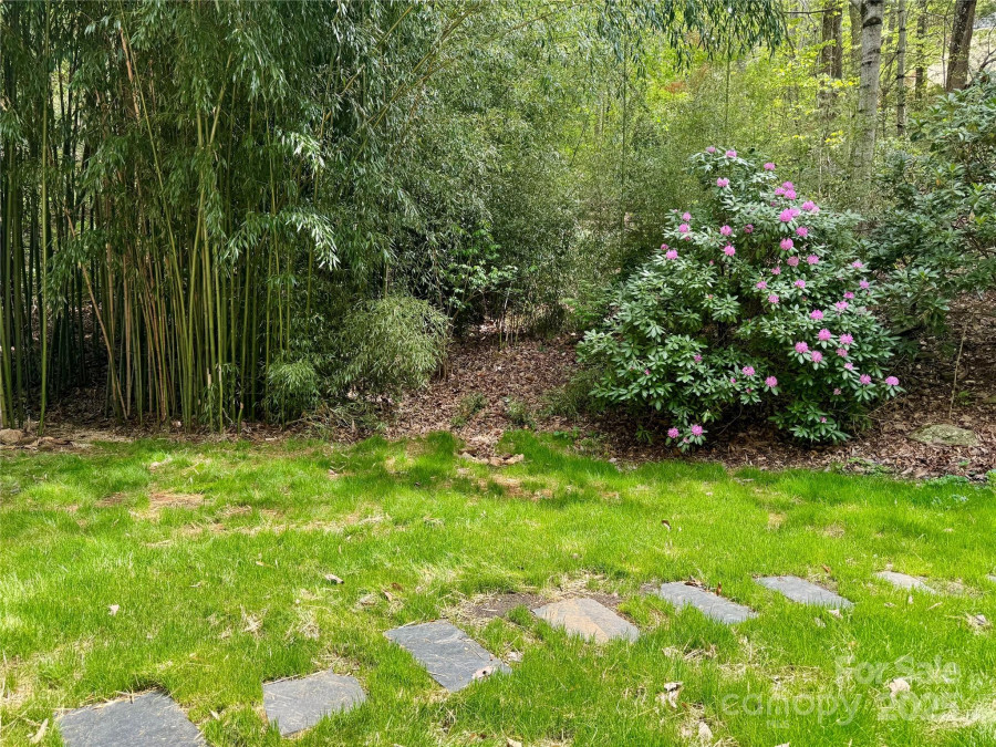 15 Elmwood Ln Asheville, NC 28803
