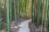 15 Elmwood Ln Asheville, NC 28803