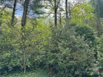 15 Elmwood Ln Asheville, NC 28803