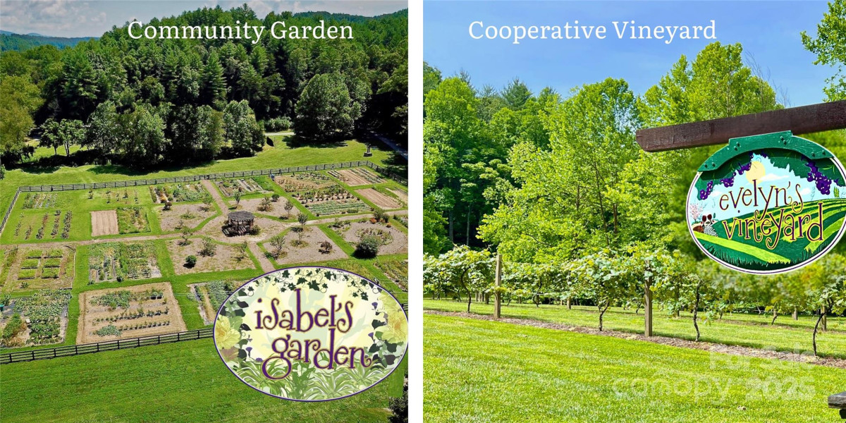 6033 Low Country Rd Lenoir, NC 28645