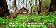 6033 Low Country Rd Lenoir, NC 28645