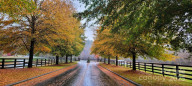 6033 Low Country Rd Lenoir, NC 28645