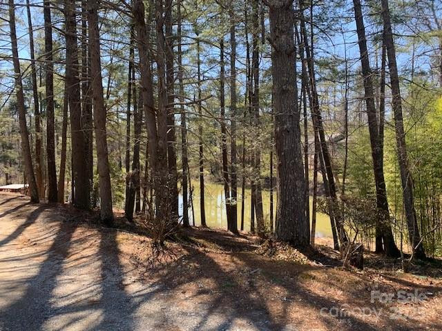 50A Lakemont Cottage Trl Flat Rock, NC 28739