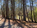 50A Lakemont Cottage Trl Flat Rock, NC 28739